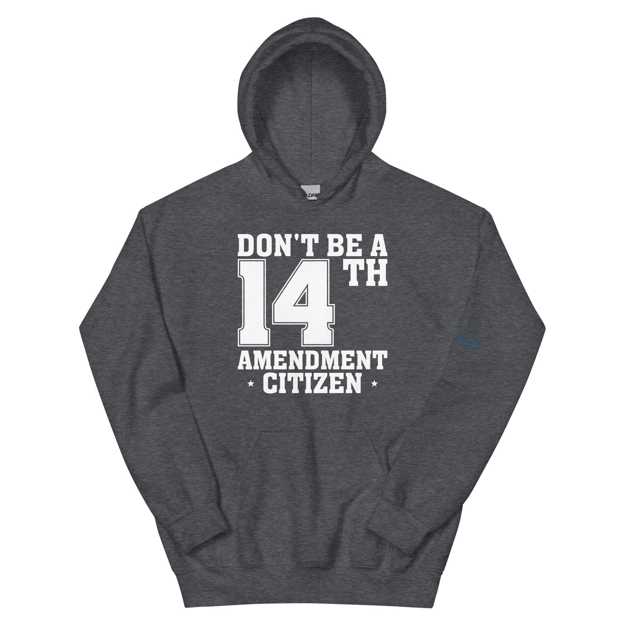 14th Amendment Citizen Hoodie